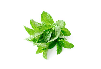 Mint leaf. Fresh mint on white background. © Роман Фернаті