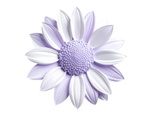 Pastel purple flower with layered, elegant white petals