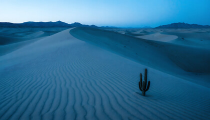 Solitary Cactus Stands Amidst Rippled Sand Dunes During Blue Hour Twilight Landscape