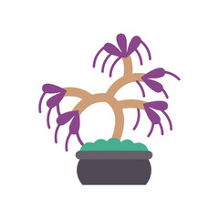 Bonsai, wisteria, branch icon