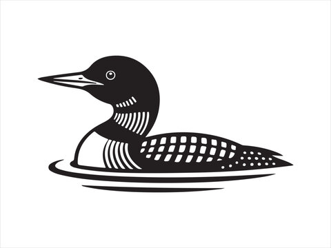 Loon Swimming  water silhouette vector. Duck loon silhouette vector illustration