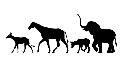 Wildlife silhouettes © Adobe 