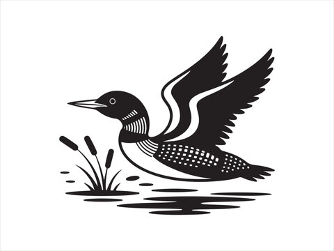 Vector bird loon fly wildlife animal drawing icon silhouette