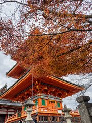 Vibrant autumn maple leaves frame the iconic orange pagoda of Kiyomizu-dera Temple in Kyoto, Japan, showcasing traditional Japanese architecture and seasonal splendor under an overcast sky.