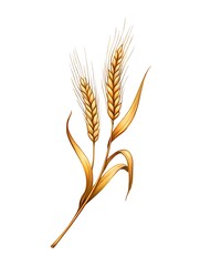 Golden wheat ears with leaves isolated on white background