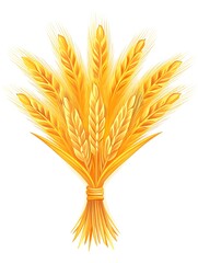 Golden wheat ears tied together in a bundle on white background