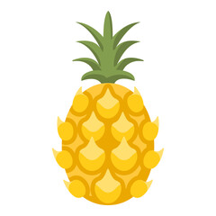 Vector Color Flat Design Icon - Pineapple