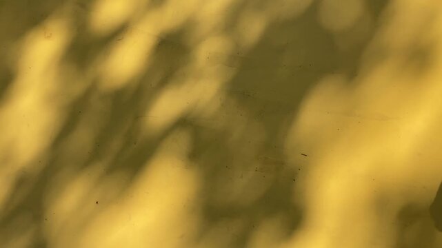 Shifting Tree Shadows Moving with Wind Reflected on yellow Surface, Abstract Nature Motion and Calm Atmospheric Background, 4k video