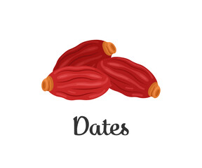 Red Dates Illustration  Healthy Snack Food Ingredient