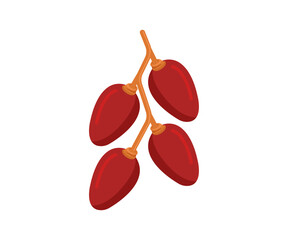 Red Ripe Dates Bunch  Healthy Fruit Illustration
