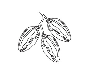 Dates on Stem  Line Art Food Drawing