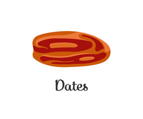 Single Dried Date Fruit  Flat Vector Food Illustration