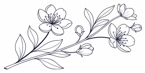 Black and white flower branch