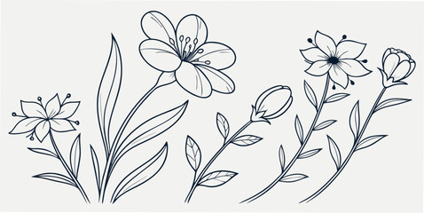 Floral line art illustration