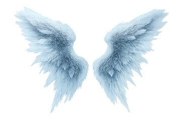 Obraz premium Two feathered wings on transparent background, angel wing, isolated.