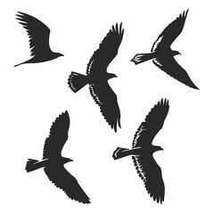 Fototapeta premium Silhouettes of birds in flight