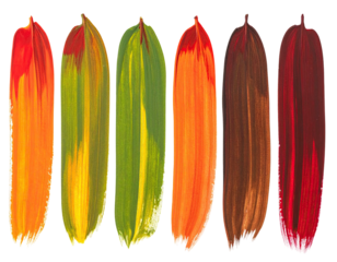 Gradient paint swatches, orange, green, brown, red