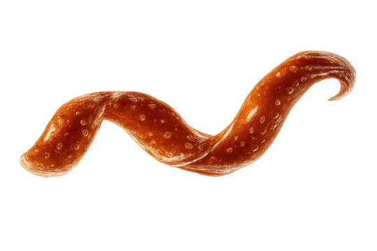 Worm-like creature on transparent background - brown with water droplets