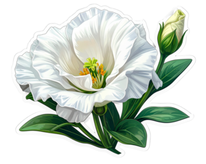 PNG white lisianthus flower sticker