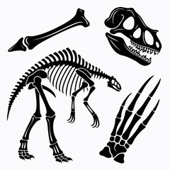 Dinosaur skeleton illustration