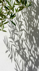 Aesthetic vertical shot of olive branches and their sharp shadows on a white wall, ideal for minimalist backgrounds and nature designs.