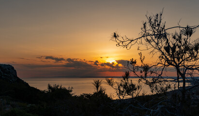Mediterranean sunset reflecting over calm sea with silhouette trees