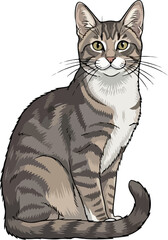 Obraz premium Cute cartoon cat sitting with a white chest, brown stripes, and big eyes, pet illustration