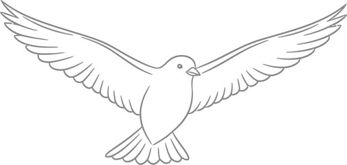 Fototapeta premium Simple black and white line art drawing of a peaceful dove bird gracefully flying with wide open wings against a clean white background for coloring.