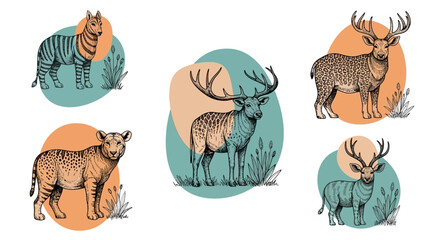 Colorful animal icon set