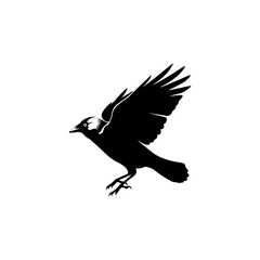 Bird in Flight Silhouette Against a Plain Background