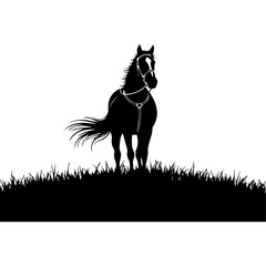 A majestic horse standing proudly in a grassy field, viewed from the side.