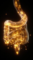 Digestive System: A captivating illustration showcases the complex structure of the human digestive system, with vibrant details, creating a dynamic view of the processes within.