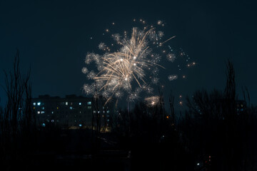 A beautiful fireworks display illuminates the night sky above a city apartment building silhouette. The vibrant sparks create a dazzling starburst pattern, capturing a festive celebration atmosphere.