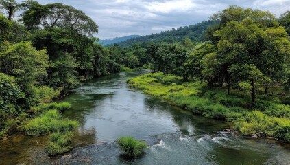 Serene river winding through dense tropical forest under a dramatic cloudy sky