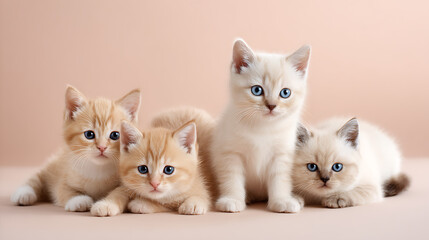 Adorable group of four fluffy kittens lying on a beige background. Sweet and playful baby cats in a cozy studio setting, perfect for pet lovers and animal-themed designs.
