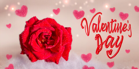 Red roses, hearts and love For all the lovers in the world