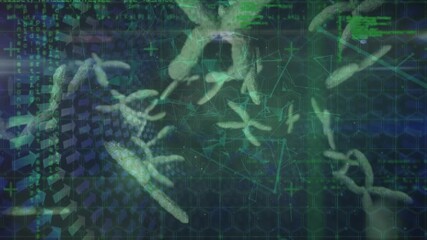 Animation of dna strand spinning over medical data processing - Powered by Adobe