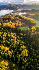 A forest ablaze with autumn colors, nestled among rolling hills beneath a cloudy sky