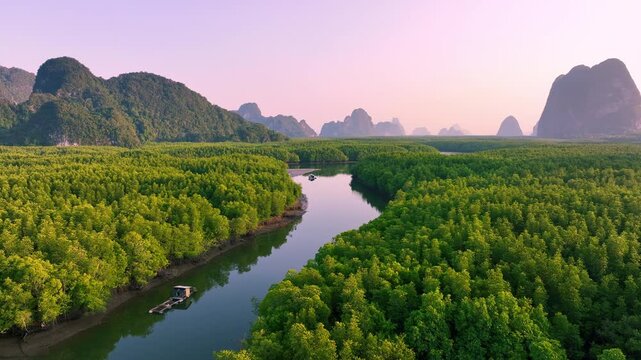 Aerial photographs show lush, sun-kissed mangrove forests in Phang Nga Bay, with mountains as a backdrop in Thailand.