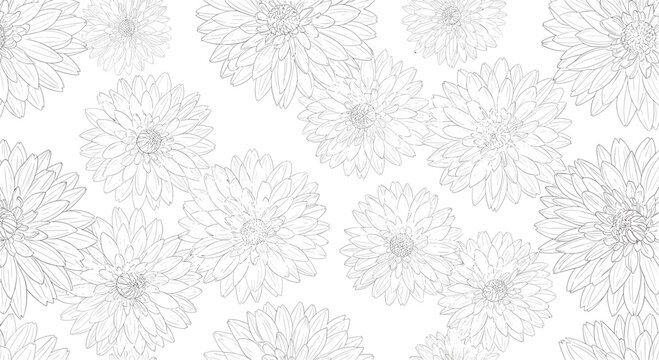 Seamless floral pattern featuring hand drawn sketches of chrysanthemum flowers in light grey ink on a white background.