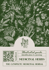 Medicinal plants and herbs banner