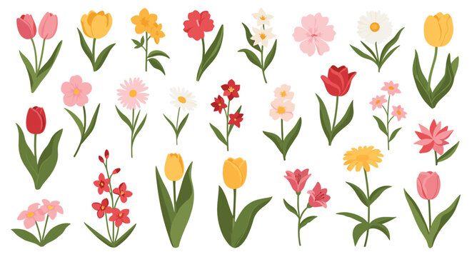 Large set of various colorful spring flowers including tulips and daisies with green stems and leaves for floral arrangements. - Powered by Adobe
