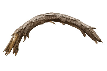 Obraz premium Curved dry tree branch with weathered bark, organic arc shape, and old wood texture on a transparent background