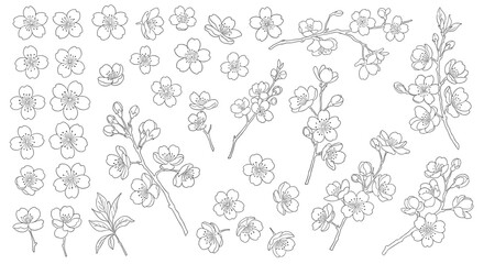 Fototapeta premium Comprehensive set of hand-drawn cherry blossom floral elements including individual flowers and branches for versatile botanical design projects.