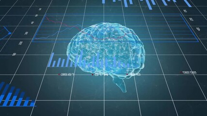 Animation of statistical data processing over spinning human brain icon against blue background - Powered by Adobe