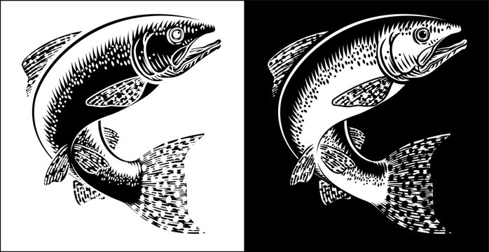 A salmon fish in a vintage antique etched woodcut style, fishing concept.