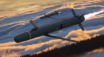 vision of a low-cost, medium-range turbojet-powered cruise missile.3D rendering.