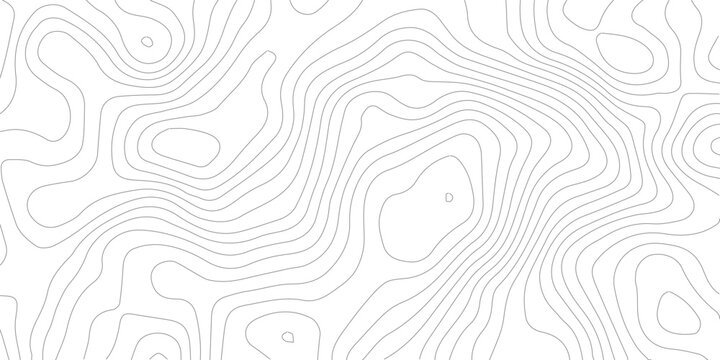 Topography background. Vector banner. Topography map background. Vector geographic contour map. Background of the topographic map. Topographic map lines, contour background.