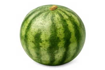 Whole fresh green watermelon with dark stripes, a sweet and hydrating fruit for summer refreshment, transparent background clip art