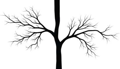 A bare tree silhouette with a vertical line through its center